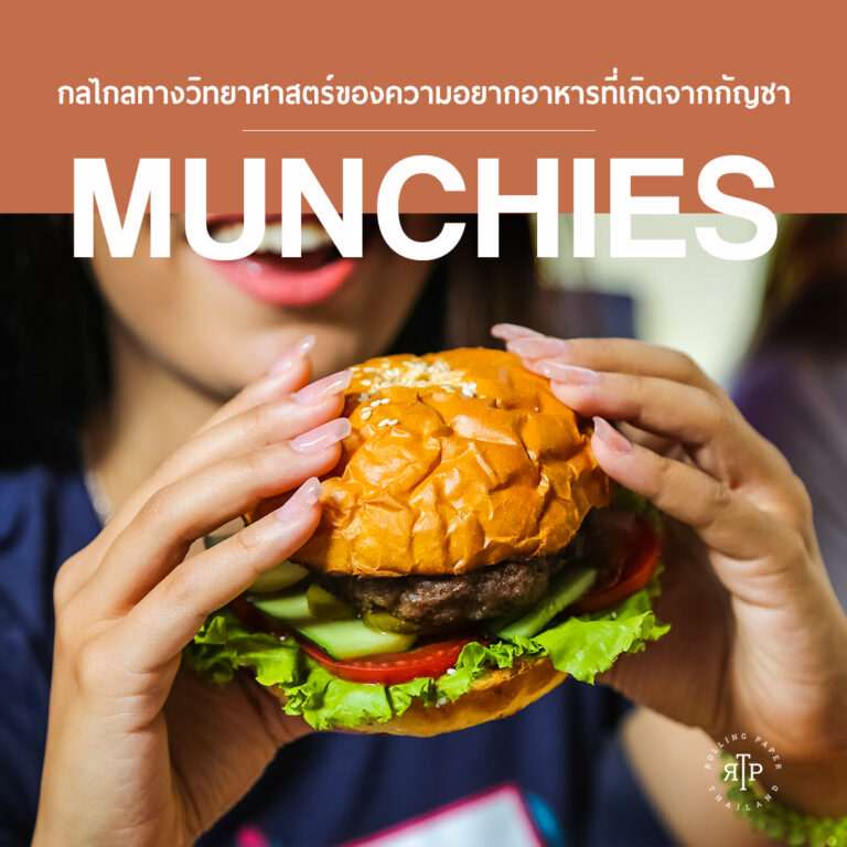 กลไกลทางวิทยาศาสตร์ของความอยากอาหารที่เกิดจากกัญชา