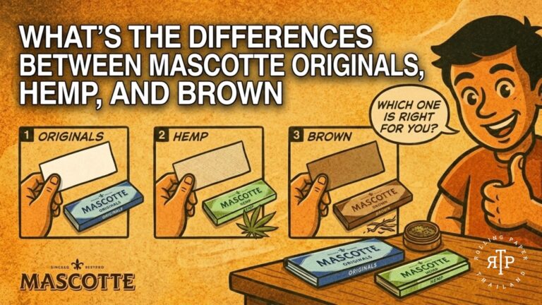 What's The Differences Between Mascotte Originals, Hemp, and Brown?